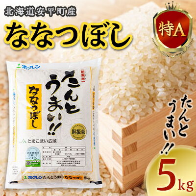 【ふるさと納税】【先行予約】【令和5年JAとまこまい広域取扱