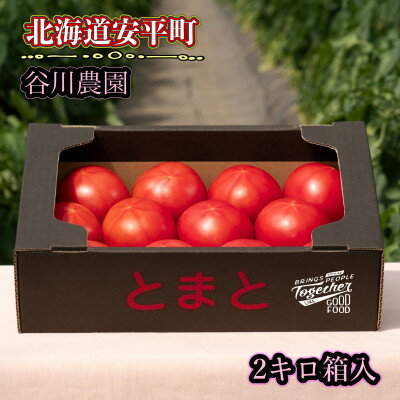 15位! 口コミ数「0件」評価「0」【先行予約受付】【北海道産】樹上熟3段採り 桃太郎トマト / 正品2kg箱(10～14玉入)【配送不可地域：離島】【1472504】