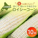 2位! 口コミ数「9件」評価「4.56」【2024年8月より発送開始】白いとうもろこしロイシーコーン　野菜ソムリエサミット金賞受賞【配送不可地域：離島】【1000080】