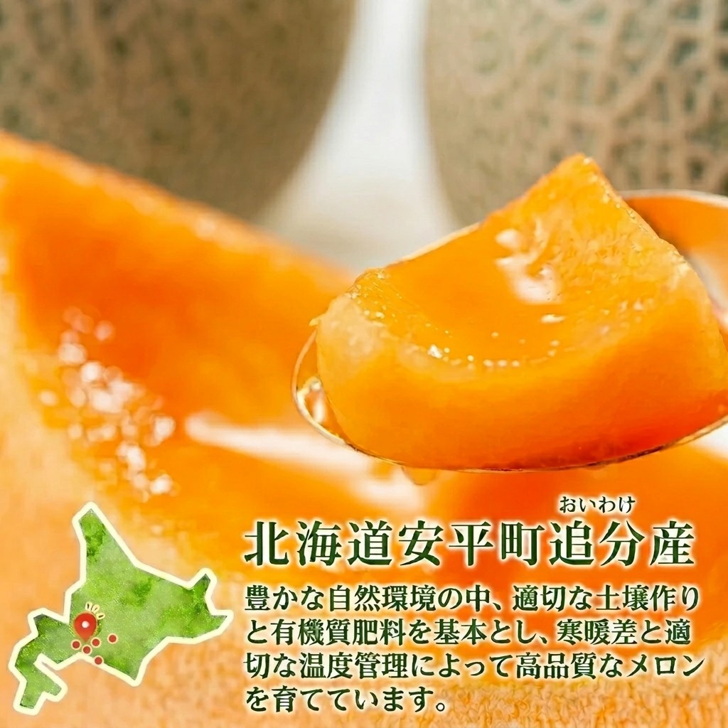 【ふるさと納税】〈追分アサヒメロン〉 北海道 安平町産 赤肉メロン 2玉入 計3kg以...
