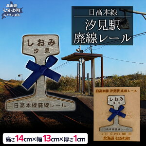 【ふるさと納税】 第2弾 日高本線廃線レール 厚さ1cm(限定品)【 ふるさと納税 人気 おすすめ ランキング 廃線 レール フォトスタンド 置物 限定 北海道 むかわ町 送料無料 】 MKWB030