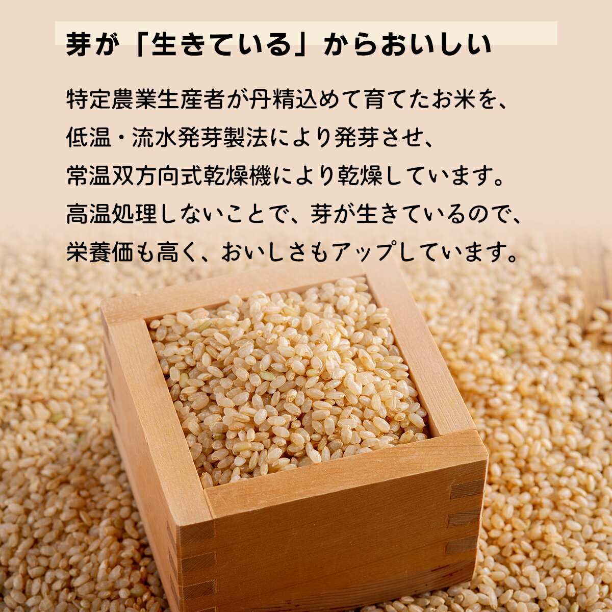 北海道むかわ町の画像3