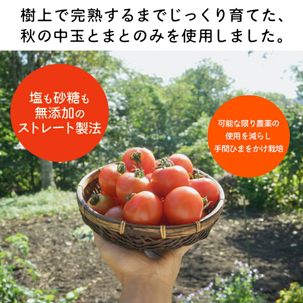 【ふるさと納税】飲み心地、とろり「樹上完熟中玉とまとジュース」710ml×2本 【 ふるさと納税 人気 おすすめ ランキング トマトジュース とまとジュース とまと トマト 野菜 ドリンク 健康 完熟 飲む 赤い ギフト 贈答 プレゼント 北海道 むかわ町 送料無料 】MKWAB002
