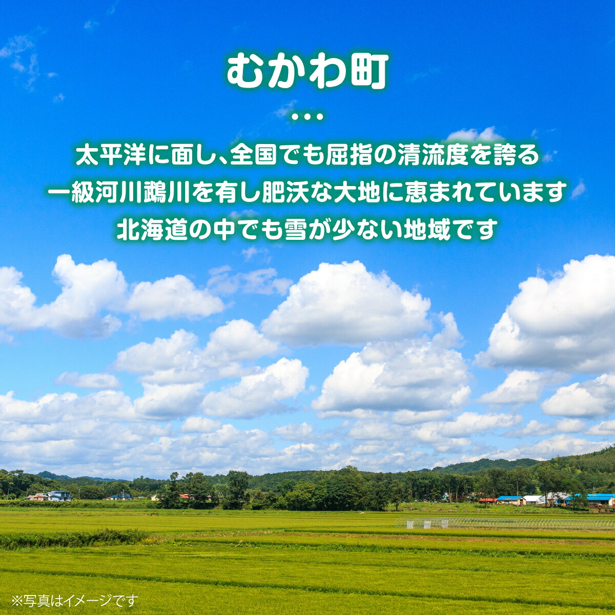 【ふるさと納税】 【1年定期配送】 （無洗米5kg）ホクレン北海道ななつぼし 【 ふ...