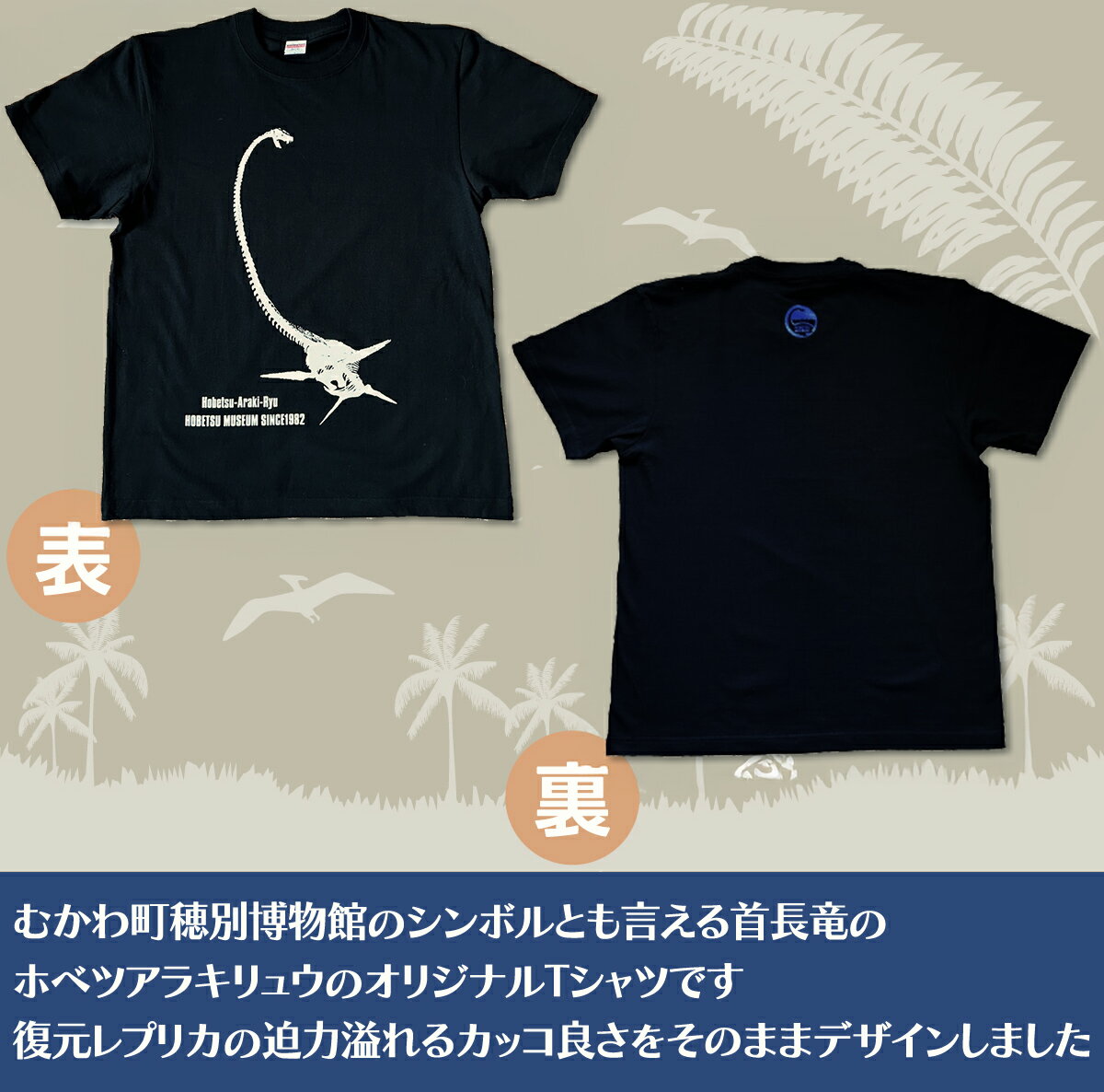 【ふるさと納税】＜サイズが選べる＞ ホベツアラキリュウ穂別博物館ロゴ入りTシャツ ブラック【S/M/L/XL】 【提供元RAYOCHI】 ふるさと納税 人気 おすすめ ランキング Tシャツ シャツ ホベツアラキリュウ 首長竜 恐竜 きょうりゅう 北海道 むかわ町 MKWB017-20
