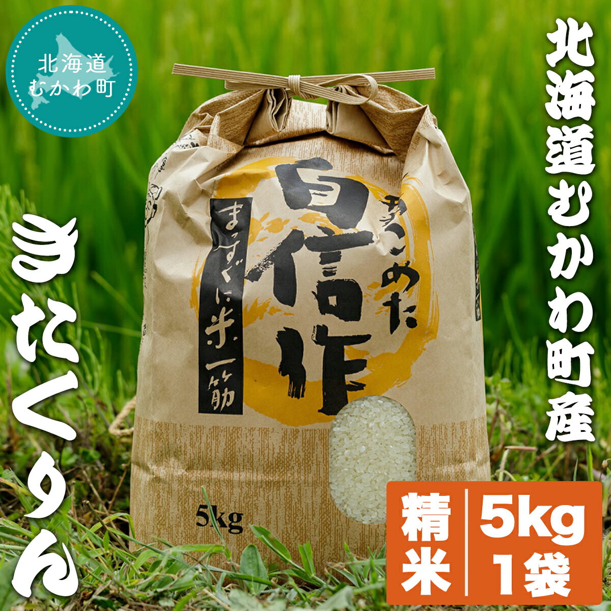 北海道むかわ町産 きたくりん(精米)5kg×1袋 ふるさと納税 人気 おすすめ ランキング お米 白米 米 精米 きたくりん ごはん 白ごはん コメ 北海道 むかわ町 送料無料