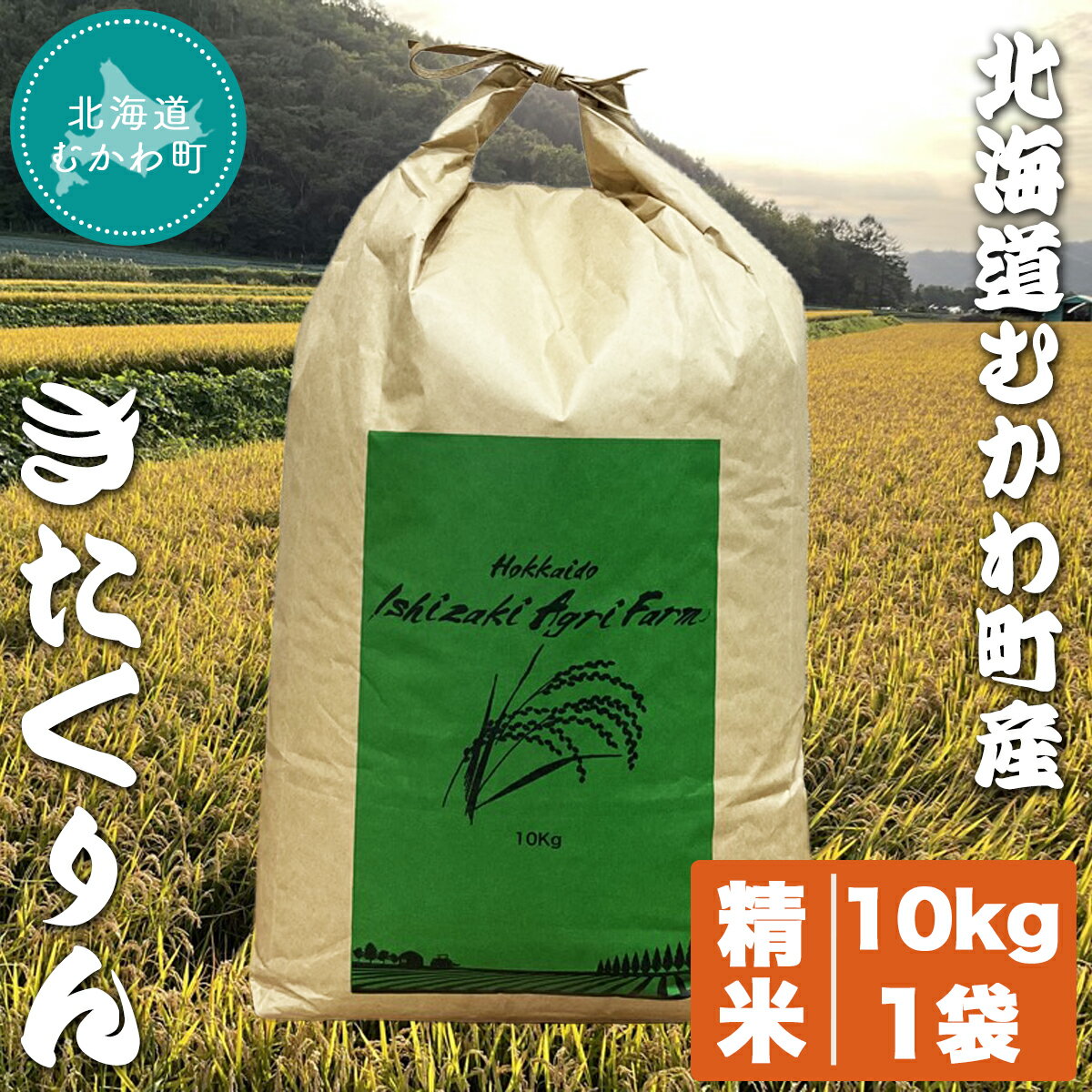 北海道むかわ町産 きたくりん(精米)10kg×1袋 ふるさと納税 人気 おすすめ ランキング お米 白米 米 精米 きたくりん ごはん 白ごはん コメ 北海道 むかわ町 送料無料 MKWD002