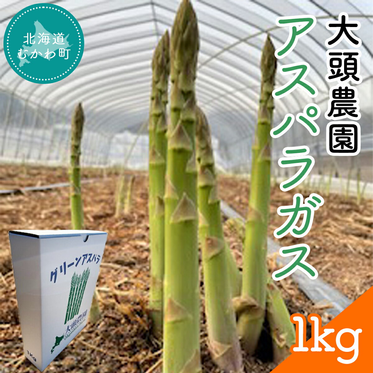 アスパラガス 1kg ふるさと納税 人気 おすすめ ランキング アスパラ アスパラガス 野菜 新鮮 おいしい 道産野菜 北海道 むかわ町 送料無料