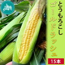 8位! 口コミ数「0件」評価「0」とうもろこし ゴールドラッシュ 15本 ふるさと納税 人気 おすすめ ランキング とうもろこし もろこし ゴールドラッシュ 野菜 新鮮 道産･･･ 