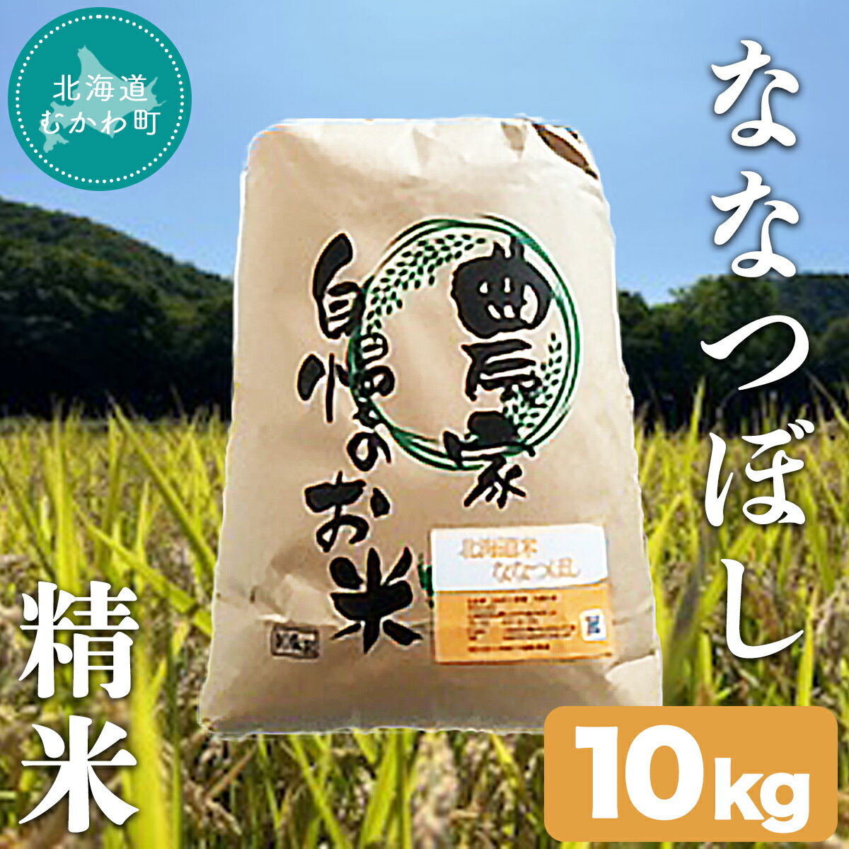 ななつぼし 精米 10kg ふるさと納税 人気 おすすめ ランキング お米 米 白米 精米 ななつぼし ごはん 道産米 コメ 北海道 むかわ町 送料無料