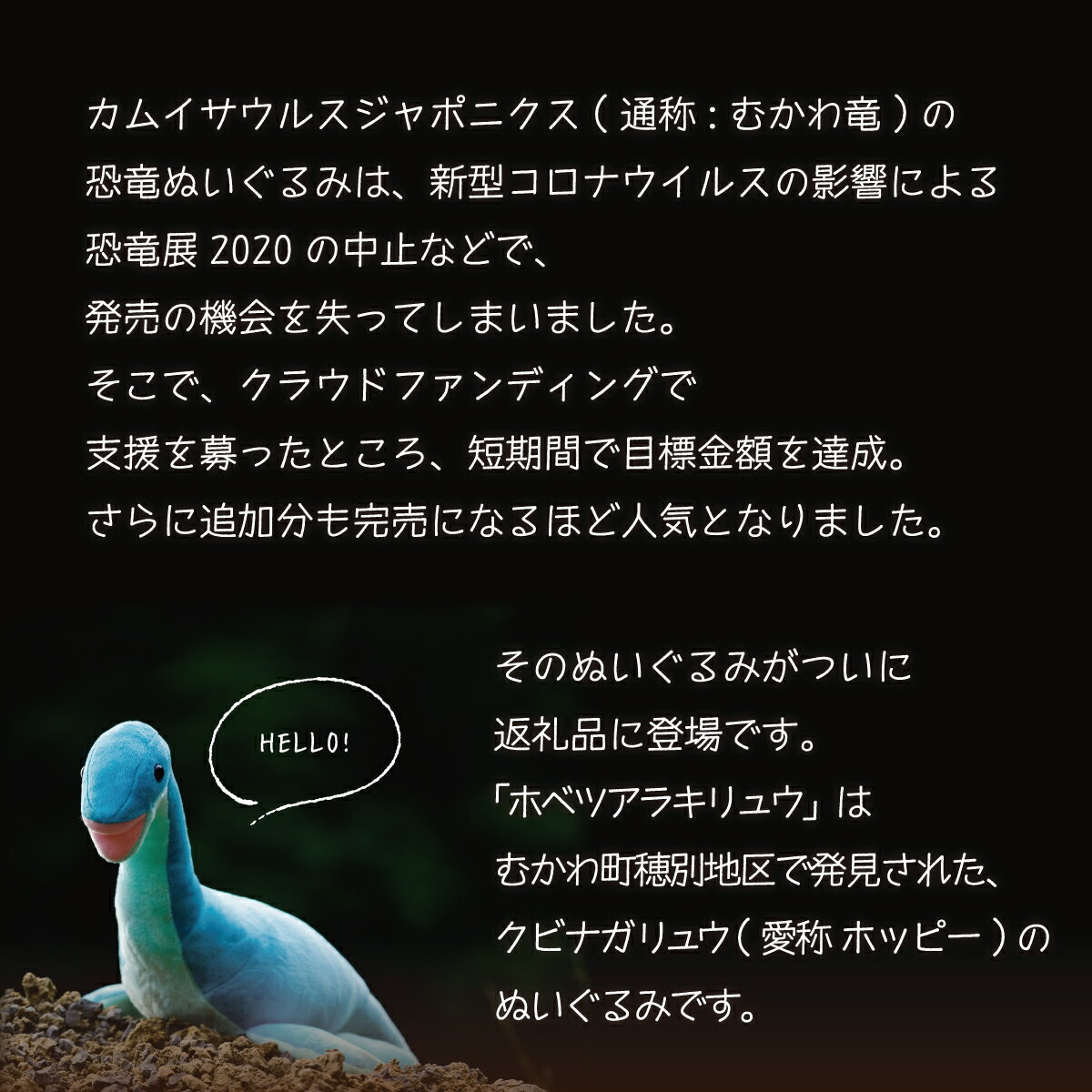 【ふるさと納税】ホベツアラキリュウ ふるさと納税 人気 おすすめ ランキング ホベツアラキリュウ 首長竜 きょうりゅう ぬいぐるみ かわいい 北海道 むかわ町 送料無料 MKWG006