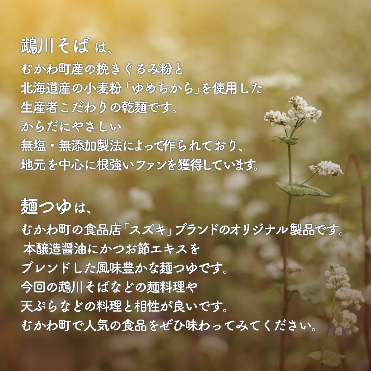 【ふるさと納税】鵡川そば・麺つゆセット ふるさと納税 人気 おすすめ ランキング むかわそば 鵡川そば 蕎麦 ソバ そば 麺つゆ つゆ セット 北海道 むかわ町 送料無料 MKWG015