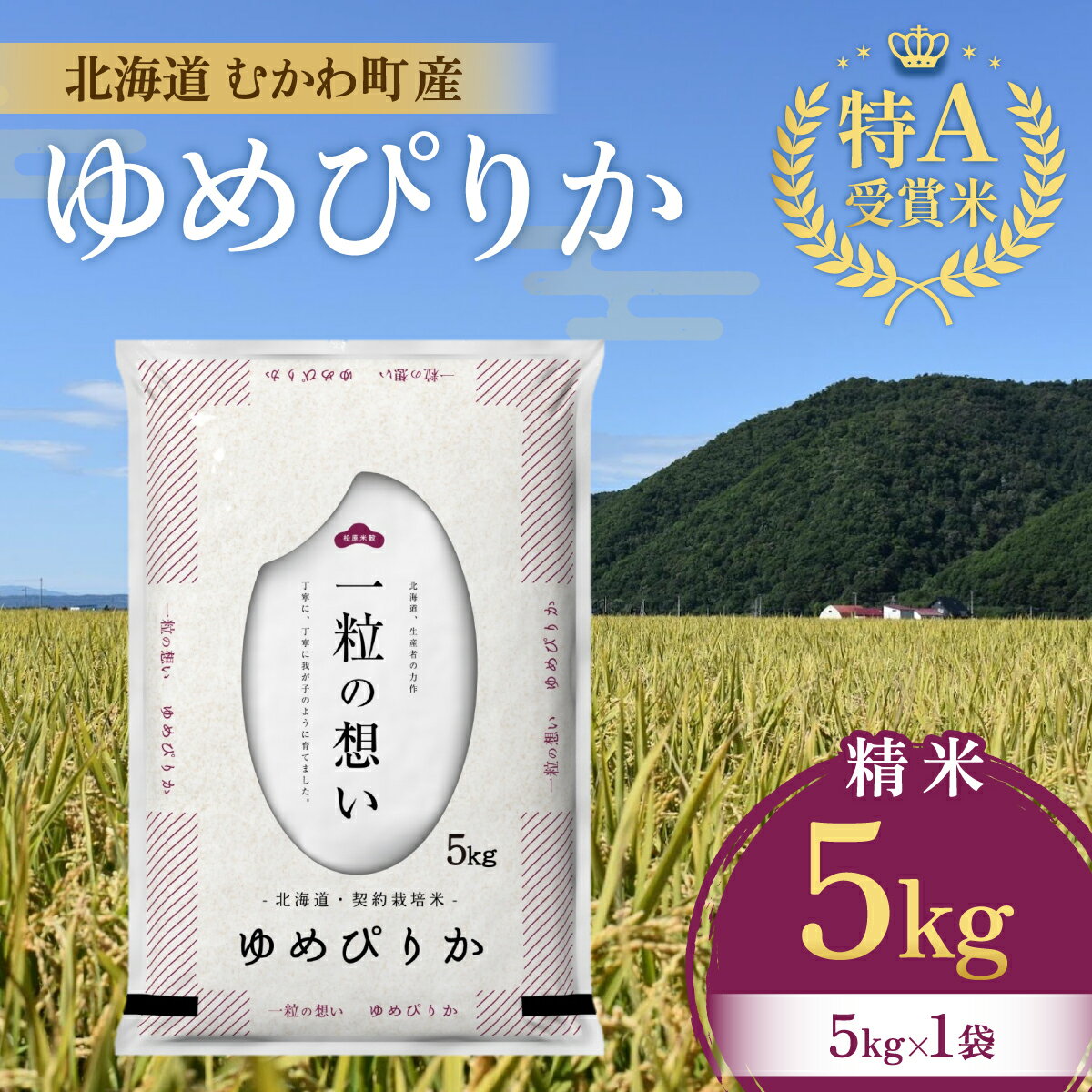 【ふるさと納税】北海道のブランド米!北海道むかわ町産ゆめぴり