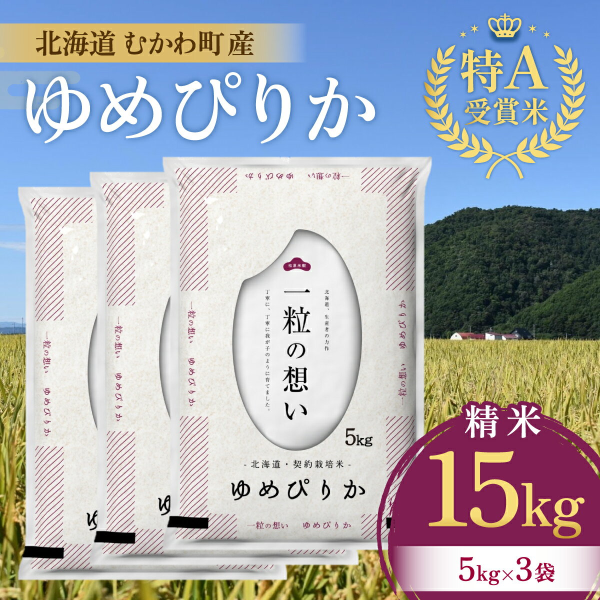 【ふるさと納税】北海道のブランド米!北海道むかわ町産ゆめぴり