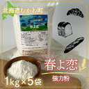 名称 春よ恋(強力粉) 1kg×5袋 内容/内容量 ■お礼品の内容について ・春よ恋(強力粉)[1kg×5袋] 返礼品の特徴 北海道産小麦粉の中で高評価の「はるゆたか」の後継品種として作られた「春よ恋」100%の強力粉です。 「春よ恋」は、パン用としての国産小麦の需要が高まる中、ホクレンが独自に開発した品種です。 1999年には、農林水産省が開始した「麦新製品緊急開発プロジェクト」において推奨品種に指定されました。 パン用小麦として人気の高い「はるゆたか」の特徴を引き継ぎ、小麦の風味がとても豊かで、北海道産小麦独特のモチモチ食感が楽しめます。 また、パンだけでなく、ピザや麺類などにも利用できる扱いやすい小麦粉です。管内産の小麦は品質が高く、製パン業界に高い人気を誇ります。 賞味/消費期限 ■賞味期限:製造日から6か月 保存方法 常温 発送時期 2024年3月より順次発送※離島にはお届けできません。 配送方法 通常便 原産地 原産地:北海道むかわ町・厚真町・安平町 注意事項 ※画像はイメージです。 提供事業者 とまこまい広域農業協同組合 ・ふるさと納税よくある質問はこちら ・寄付申込みのキャンセル、返礼品の変更・返品はできません。寄付者の都合で返礼品が届けられなかった場合、返礼品等の再送はいたしません。あらかじめご了承ください。 ・ご要望を備考に記載頂いてもこちらでは対応いたしかねますので、何卒ご了承くださいませ。【ふるさと納税】春よ恋(強力粉) 1kg×5袋 ふるさと納税 人気 おすすめ ランキング 春よ恋 小麦粉 ブランド小麦 国産小麦 こむぎ 小麦 強力粉 北海道 むかわ町 送料無料 MKWR006 寄附金の用途について 1.恐竜ワールド推進事業 2.次代のふるさとを担う子どもたちを育てる事業 3.自然環境の保全のための事業 4.高齢社会・健康づくりのための事業 5.都市と地方の交流を深める事業 6.特に指定しない（むかわ町長におまかせ） 受領証明書及びワンストップ特例申請書のお届けについて ワンストップ特例について ワンストップ特例をご利用される場合、1月10日までに申請書が当庁まで届くように発送ください。 マイナンバーに関する添付書類に漏れのないようご注意ください。 ダウンロードされる場合は以下よりお願いいたします。 URL：https://event.rakuten.co.jp/furusato/guide/onestop/