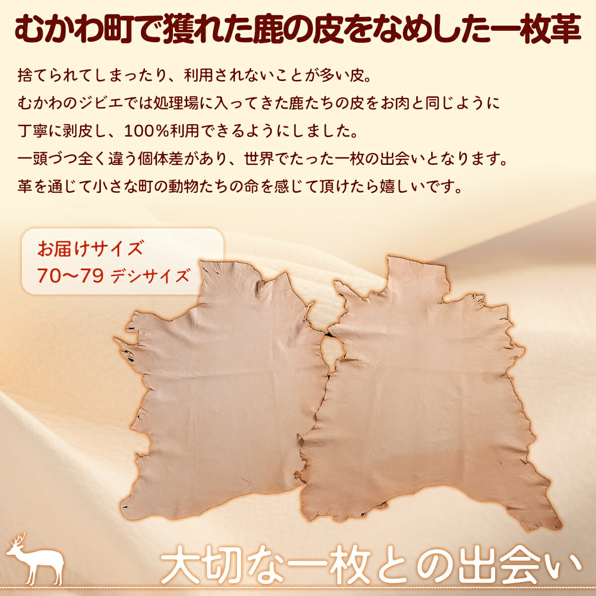 北海道むかわ町の画像2