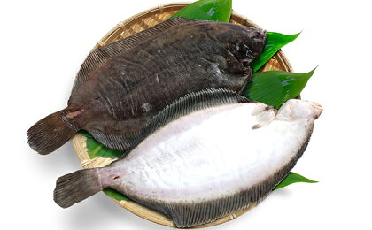 北海道日高産なめたカレイ約1.4kg 【魚貝類/干物】