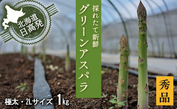 【ふるさと納税】2L【秀品】約1kgグリーンアスパラ＜北海道日高門別産＞　【野菜】　お届け：2024年4月上旬～5月末まで