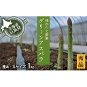 【ふるさと納税】2L【秀品】約1kgグリーンアスパラ＜北海道日高門別産＞ 【野菜】 お届け：2024年4月上旬～5月末まで