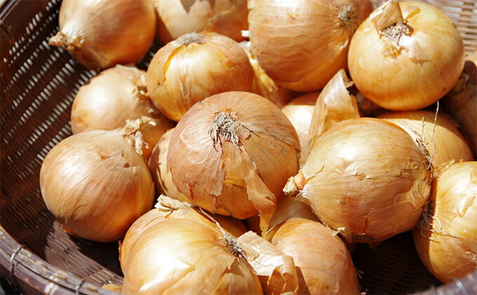 【ふるさと納税】北海道 日高産 玉ねぎ 約18kg 国産 北海道産 野菜 産地直送 お取り寄せ　野菜・玉ねぎ・たまねぎ・タマネギ　お届け：2025年11月～2026年3月31日