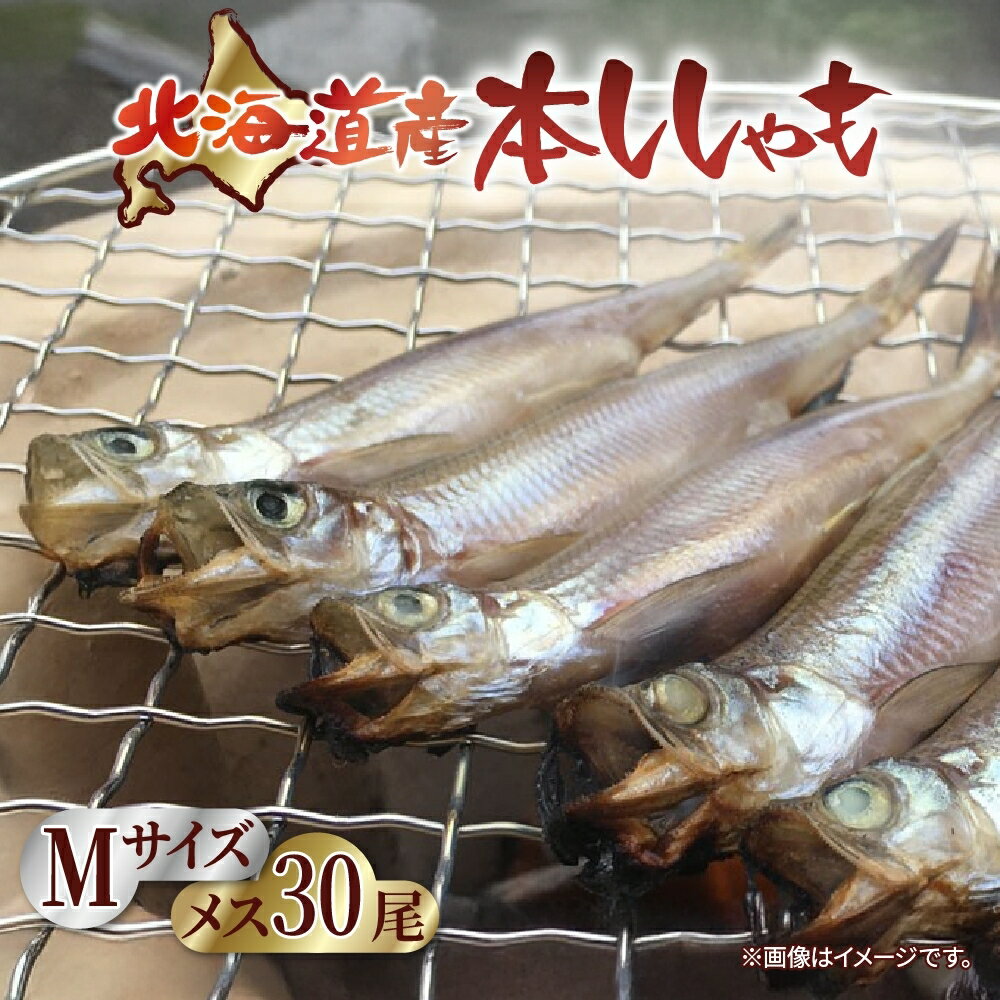 【ふるさと納税】北海道産 ししゃも【メス】M30尾セット 魚