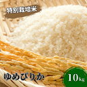 7位! 口コミ数「1件」評価「5」北海道日高【田中農園】R5年産 ゆめぴりか 10kg JGAP認証　【米・お米・ゆめぴりか】　お届け：2023年10月から順次発送