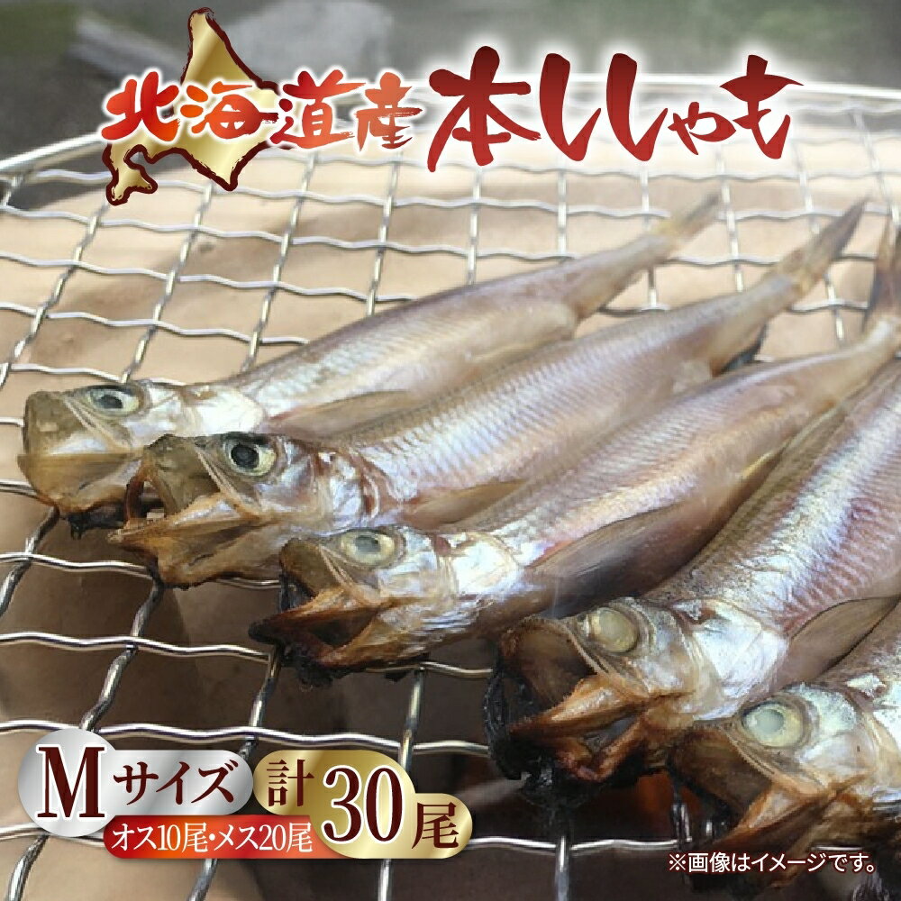 【ふるさと納税】北海道産 ししゃもM30尾（メス20尾＋オス10尾）魚介類 ししゃも 魚 海鮮 海の幸 北海道 日高 本ししゃも Mサイズ オス メス　【北海道産・ししゃも・魚介類・魚貝類・干物】