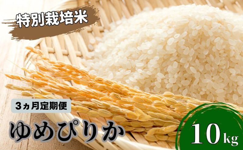 【ふるさと納税】◆3ヵ月連続お届け お米の定期便◆北海道日高【田中農園】R5年産 ゆめぴりか 10kg JGAP認証　【定期便・ 米 お米 ゆめぴりか 北海道 モチモチ 定期便 おにぎり 令和4年産 】　お届け：2023年10月から順次発送