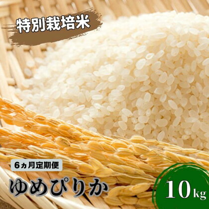 ◆6ヵ月連続お届け お米の定期便◆北海道日高【田中農園】R5年産 ゆめぴりか 10kg JGAP認証　【定期便・ 米 お米 ゆめぴりか 北海道 モチモチ 定期便 おにぎり 令和4年産 】　お届け：2023年10月から順次発送