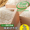 ◆12ヵ月連続お届け お米の定期便◆北海道日高R5年産 ゆめぴりか 10kg JGAP認証　　お届け：2023年10月から順次発送