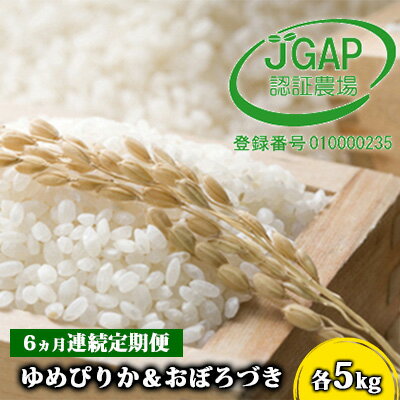 3位! 口コミ数「0件」評価「0」◆6ヵ月連続お届け お米の定期便◆北海道日高【田中農園】R5年産 ゆめぴりか＆おぼろづき 各5kg 食べ比べ セット JGAP認証　【定期便･･･ 