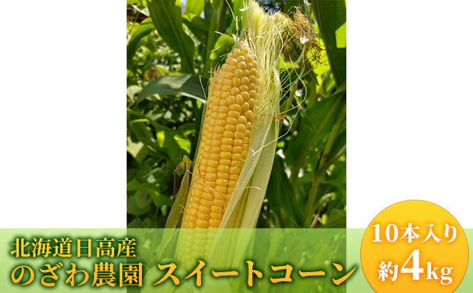 【ふるさと納税】【 のざわ農園 】スイートコーン 10本 入り（約4kg）北海道 日高産　【 野菜 とうもろこし 北海道コーン 産地直送 旬の野菜 夏野菜 】　お届け：2024年8月中旬～9月下旬まで