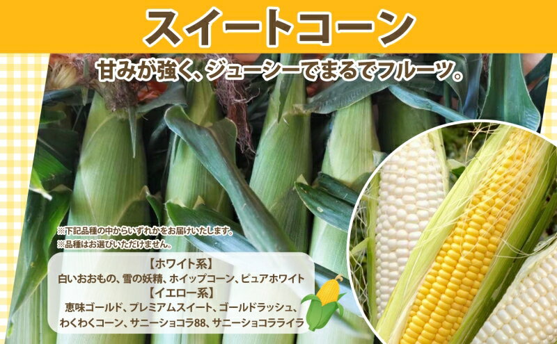 北海道日高町の画像3