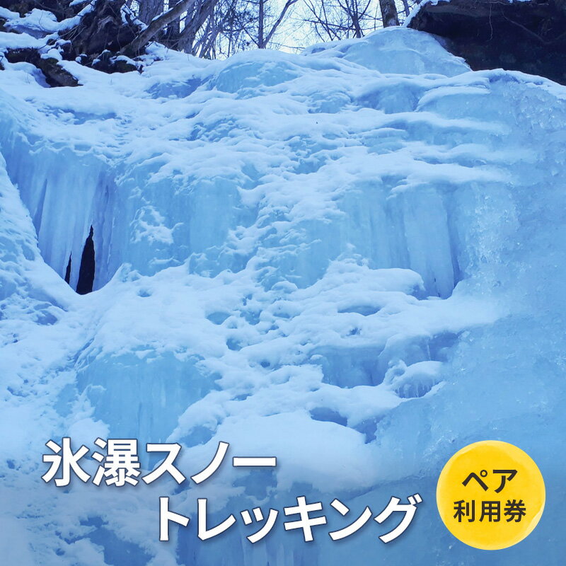 氷瀑スノートレッキング[体験チケット]体験 チケット 自然 北海道 日高町