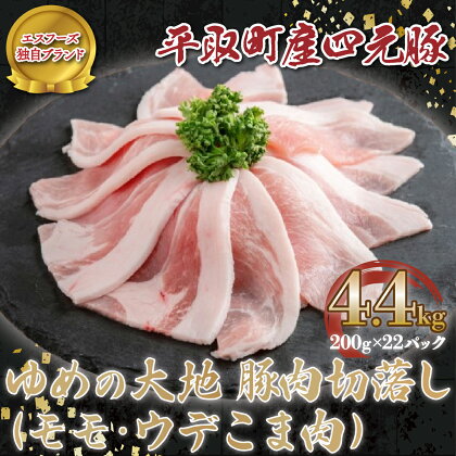 【平取町産四元豚】ゆめの大地豚肉切落し（モモ・ウデこま肉）200g×22パック計4.4kg ふるさと納税 人気 おすすめ ランキング 豚肉 肉 豚肉切り落とし 北海道 平取町 送料無料 BRTD003