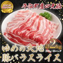 25位! 口コミ数「0件」評価「0」【平取町産四元豚】ゆめの大地豚バラスライス　200g×10パック計2kg ふるさと納税 人気 おすすめ ランキング 豚肉 肉 豚バラ 北海道･･･ 