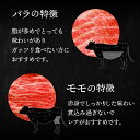 北海道平取町の画像2