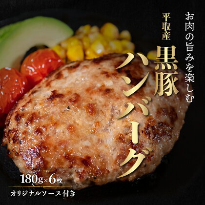 平取産黒豚ハンバーグ180g6枚　オリジナルソース付 ふるさと納税 人気 おすすめ ランキング 黒豚 肉 ハンバーグ 北海道 平取町 送料無料 BRTB029