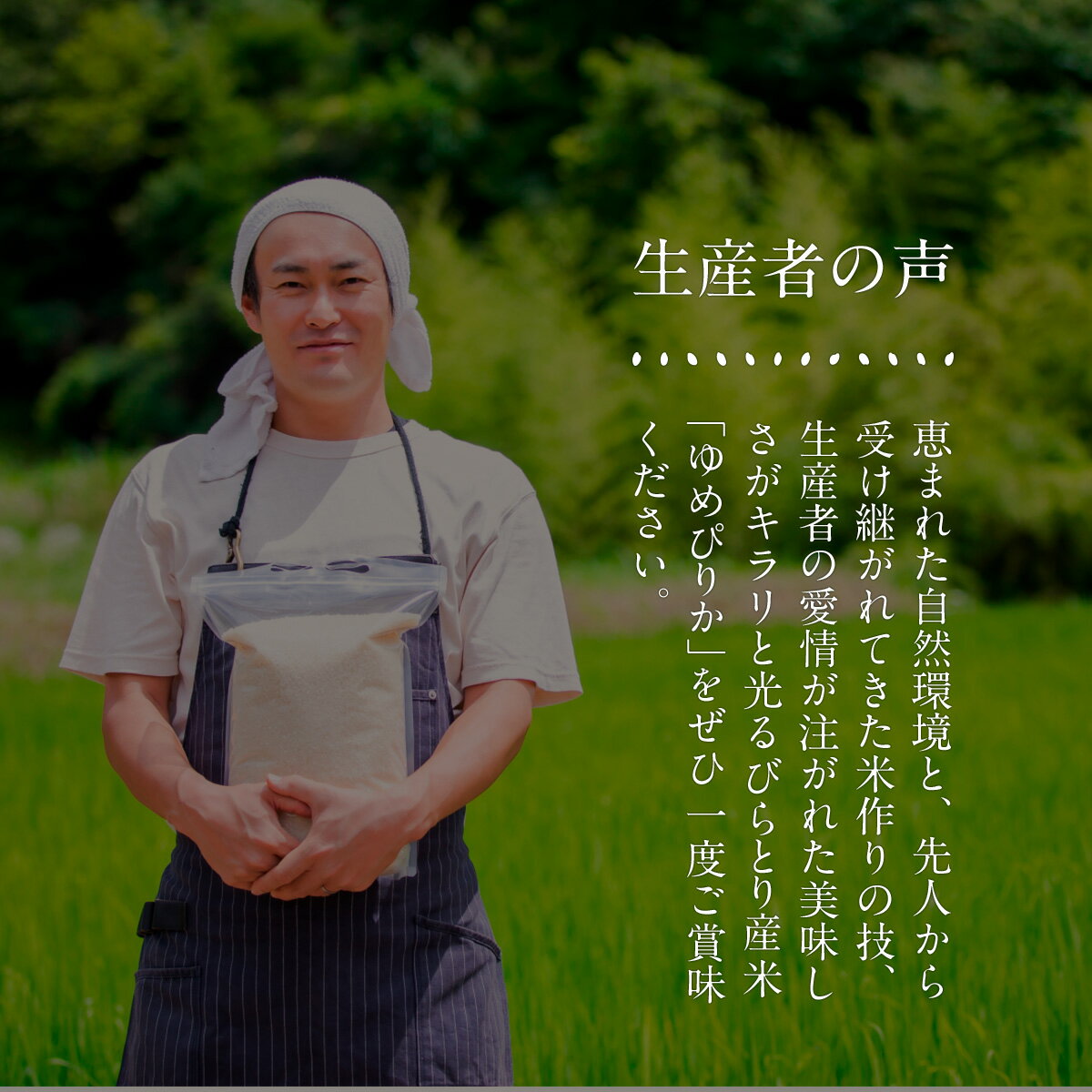 北海道平取町の画像3