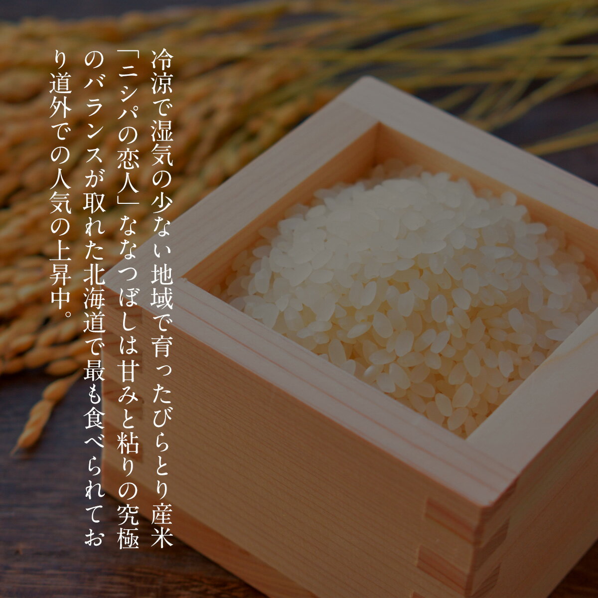 北海道平取町の画像2