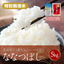 【ふるさと納税】令和7年5月中旬〜順次発送【数量限定 / 特別栽培米】北海道で1番人気!「ニシパの恋人」ななつぼし 5kg 【 ふるさと納税 人気 おすすめ ラ...