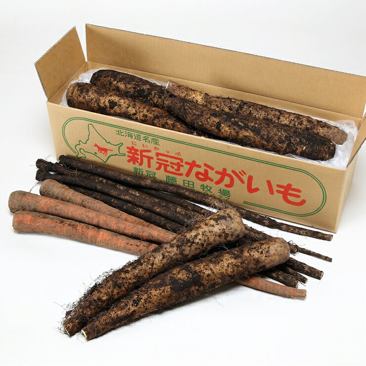 【ふるさと納税】10新冠産野菜長もの3点セット(ながいも・ごぼう・にんじん)10,000円【北海道新冠町】