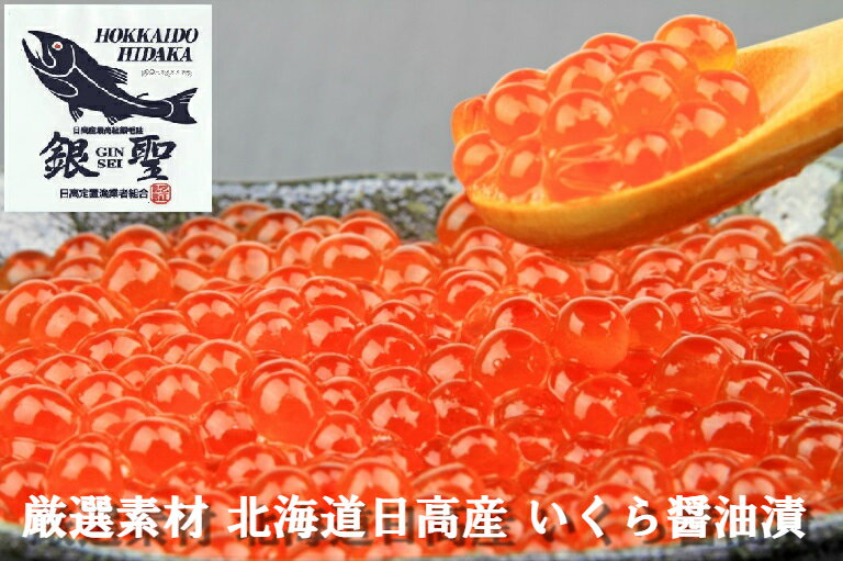 【ふるさと納税】前浜産 銀聖いくら醤油漬(500g×2箱)[02-298]