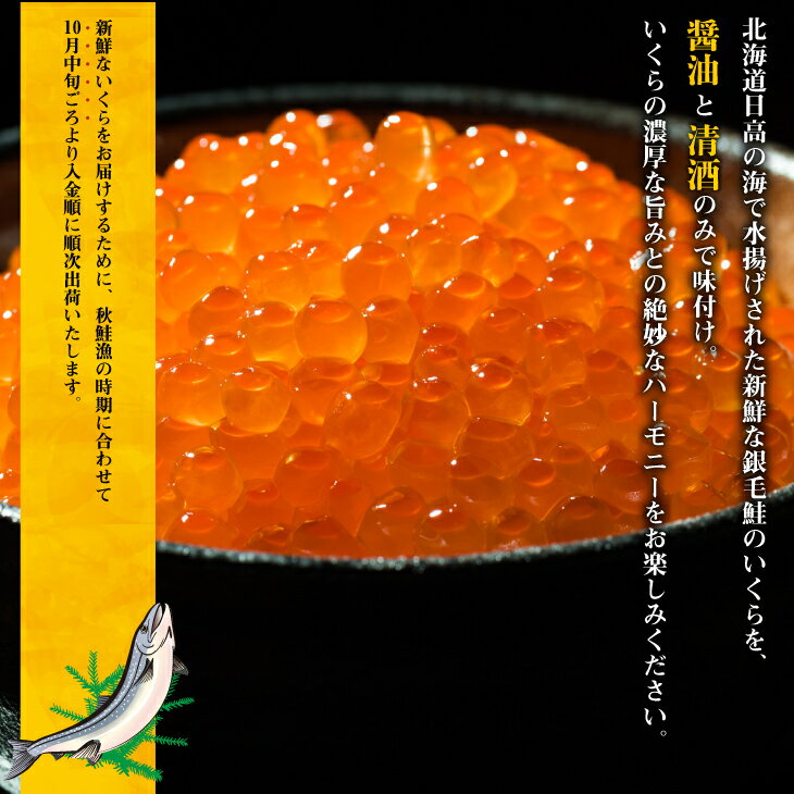 【ふるさと納税】【10月中旬頃より発送】銀聖いくら醤油漬小分けパック(60g×24)と秋鮭切身(400g)[B01-572]