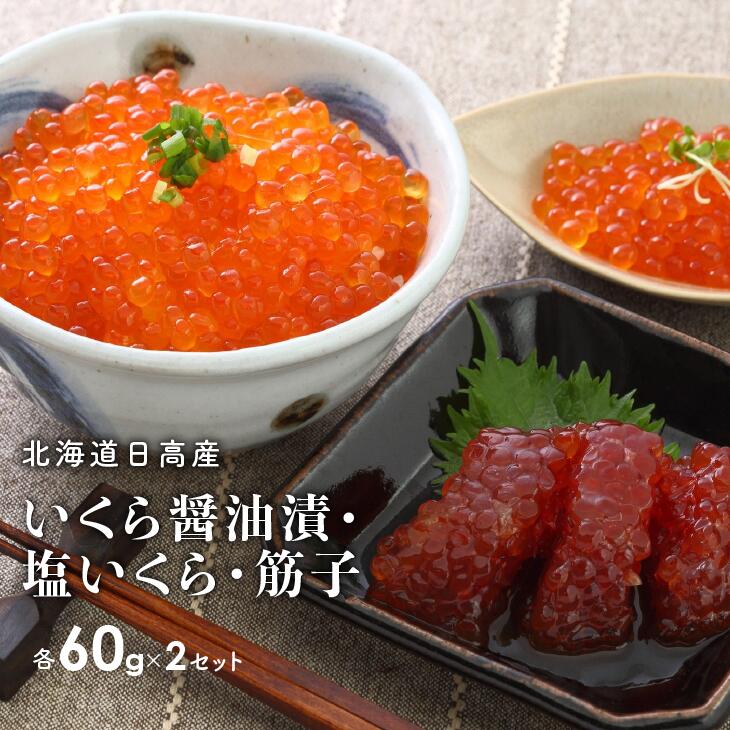 【ふるさと納税】【10月中旬頃より発送】北海道日高産 いくら醤油漬・塩いくら・筋子(各60gx2P)[B15-837]