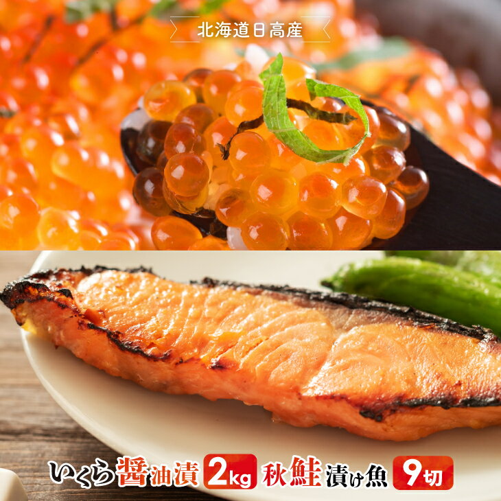 【ふるさと納税】【10月中旬頃より発送】北海道日高産 いくら醤油漬(250g×8P)と漁師こだわり漬け魚(秋鮭)70g×9切 [B15-231]