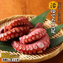 【ふるさと納税】漁協直送！浦河前浜産 活ゆでたこ足（足800g）[02-525] その1