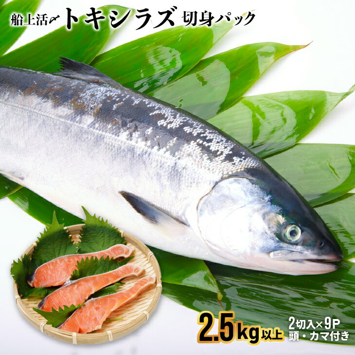 ふるさと納税の返礼品 鮭・サーモンの人気ランキング | ふるさと納税バイブル ふるさと納税の返礼品 鮭・サーモンの人気ランキング | ふるさと納税バイブル
