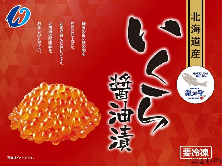 【ふるさと納税】前浜産 ブランド銀毛鮭(天然)「銀聖」いくら醤油漬(500g×2箱)[02-298]