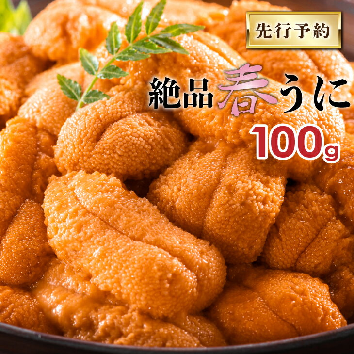 【ふるさと納税】【6月下旬頃発送！】塩水バフンウニ(北海道日高産)100g×1パック【ご家庭用】[B02-285]※離島・沖縄県発送不可※